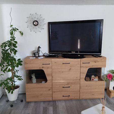 60 M² Ferienapartment Zentrumsnahe Mit Gartenbenutzung Steyr Kültér fotó
