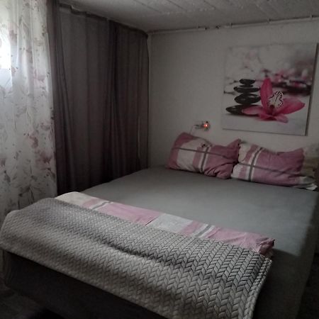 60 M² Ferienapartment Zentrumsnahe Mit Gartenbenutzung Steyr Kültér fotó