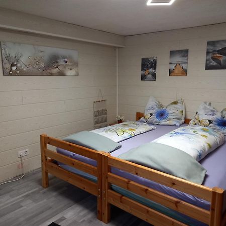 60 M² Ferienapartment Zentrumsnahe Mit Gartenbenutzung Steyr Kültér fotó