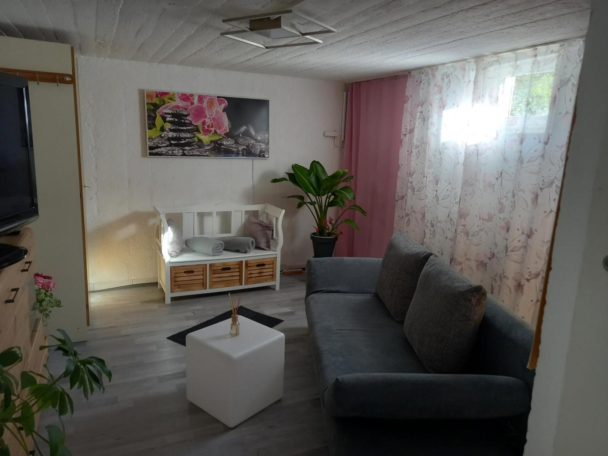 60 M² Ferienapartment Zentrumsnahe Mit Gartenbenutzung Steyr Kültér fotó