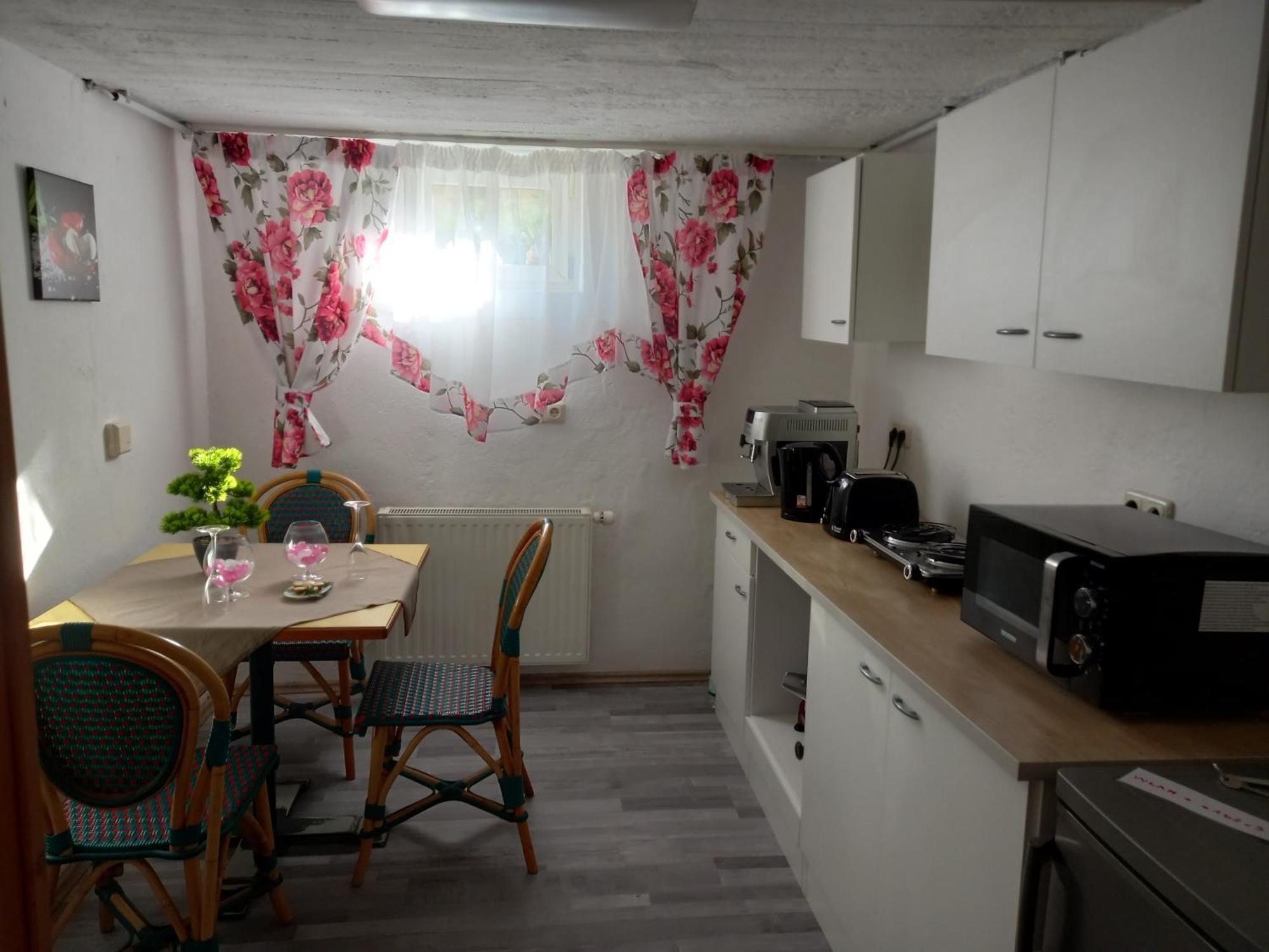 60 M² Ferienapartment Zentrumsnahe Mit Gartenbenutzung Steyr Kültér fotó
